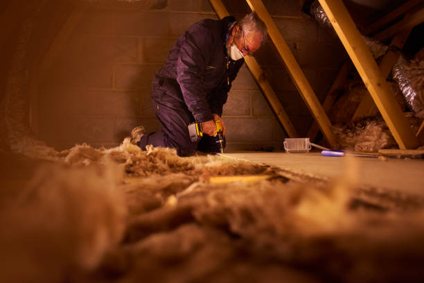 Best Cellulose Insulation in Peshtigo, WI
